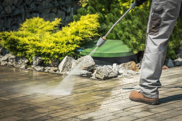 Best House Exterior Washing  in Atwood, IL