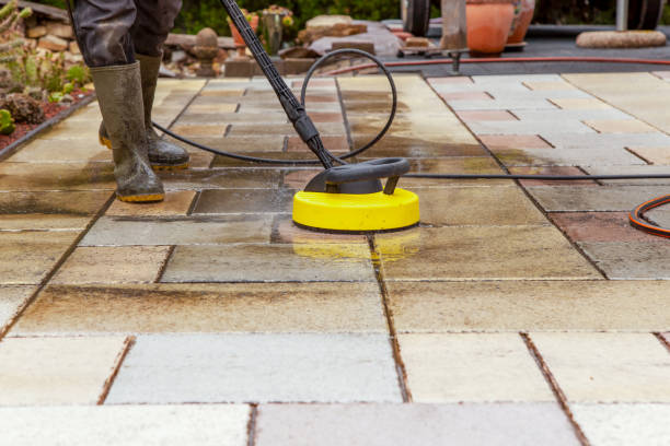 Best Animal Enclosure Cleaning  in Atwood, IL