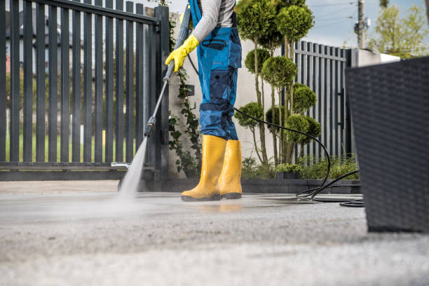 Best Fence Cleaning  in Atwood, IL