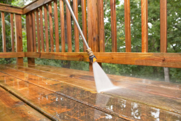 Best Animal Enclosure Cleaning  in Atwood, IL